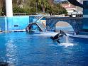 Sea World-92